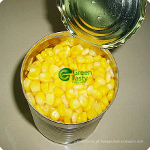 Hot Sell Canned Sweet Corn